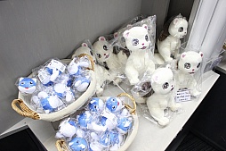 ꡼ No.021 | ѥ󥽥եȡΥ20ǯǰΥŸפȡŸƤȥץ˥󥰥٥Ȥͤݡ