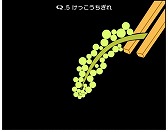 ꡼ No.004 | ޥ۸ѥQס7ݱǲפβڤCOLLABO 1פ̵åץǡȤɲáǡѤǽ