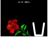 ꡼ No.006 | ޥ۸ѥQס7ݱǲפβڤCOLLABO 1פ̵åץǡȤɲáǡѤǽ