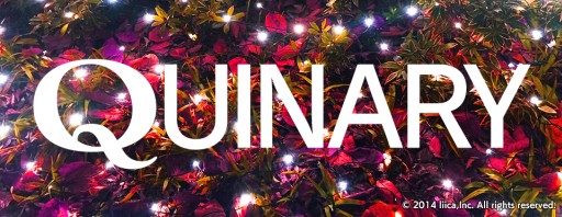 画像ギャラリー No.001のサムネイル画像 / 「Q」4週連続で新規問題を追加。第1弾はナンバリング問題「QUINARY」の60問パック