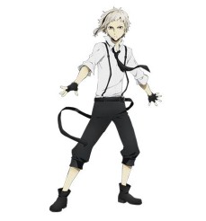 ꡼ No.008Υͥ / ֡18 ߥ ĥʥ ѥפTV˥ʸ륹ȥ쥤ɥåפȥܤ»