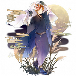 ꡼ No.010 | ֡18ۥߥ ĥʥ ѥס5ƥƥȥܤ