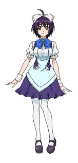 ꡼ No.009Υͥ / ֥󥸥 ŷȤεtr.ס͸ʥ߻ɥޤξܺ٤餫ˡ٤˱ƥ֥٥Ȥ