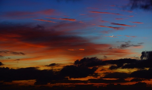 画像ギャラリー No.007のサムネイル画像 / マフィア梶田の二次元が来い!:第281回「青空と海とゴシックなオールスター」