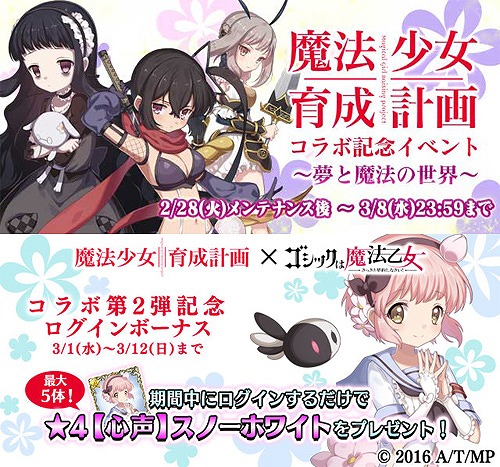 ꡼ No.001Υͥ / ֥åˡסˡײפȤΥ2ƤǥΡۥ磻ȤʤɤȤȤо