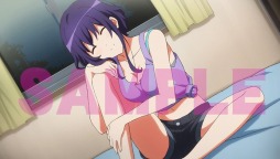 ꡼ No.004Υͥ / ֺ㤨ʤΰƤ -blessing flowers-סŹŵ2Ƥ