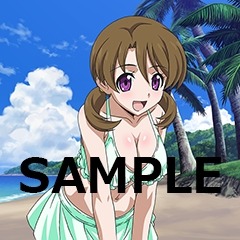 ���������꡼ No.009�Υ���ͥ������ / ����ˡ�ʹ⹻�������� ��������ޥ������Хȥ�׸��ꥤ�٥�Ȥ����Ρֿ����ã����о�