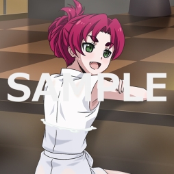 ꡼ No.011Υͥ / ˡʹ⹻ ޥХȥס٥ȡʴ񤦲פ