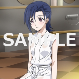 ꡼ No.013Υͥ / ˡʹ⹻ ޥХȥס٥ȡʴ񤦲פ