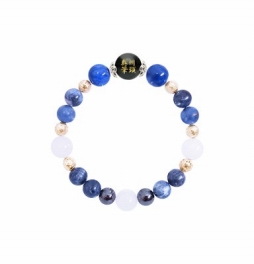 ���������꡼ No.001�Υ���ͥ������ / ���ߥ塼�����Ȼ��߸���Ρ����BASARA�ץ��å���2��ܤ��о�