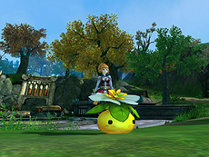 ꡼ No.013 | ɦ¥ƥ罸ΡCrystal Crestס˸Ϳ֥륯ꥹפʤɼǤξܺ٤