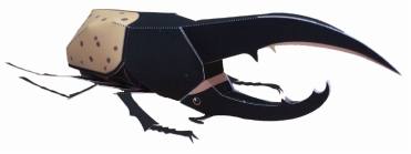 画像ギャラリー No.001のサムネイル画像 / 「新甲虫王者ムシキング」が夏休みの昆虫イベントに出展。会場ではプレゼントも