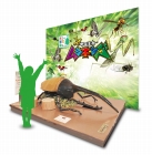 画像ギャラリー No.006のサムネイル画像 / 「新甲虫王者ムシキング」が夏休みの昆虫イベントに出展。会場ではプレゼントも