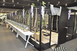 ꡼ No.012Υͥ / 塞ɤμĸ줵ȥ֥ȥॷɤΥ֥ȥॷ椫ꤵз衣ֿԥॷ󥰡ײƯϵǰ٥Ȥݡ