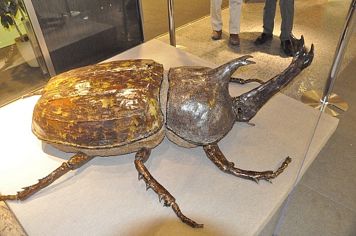 画像ギャラリー No.014のサムネイル画像 / クワガタ派の篠原信一さんとカブトムシ派のカブトムシゆかりさんが対決。「新甲虫王者ムシキング」稼働開始記念イベントをレポート