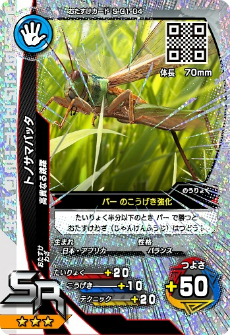 ꡼ No.012 | ֿԥॷ Ʈ1ơפƯϡΥ᡼ͿVȤʤ