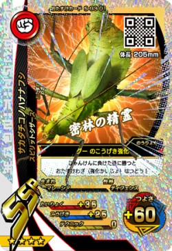 画像ギャラリー No.003のサムネイル画像 / 「新甲虫王者ムシキング 激闘3弾」が稼動開始。新Vガジェ「嵐」と「砂漠」が登場