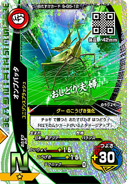 ꡼ No.003 | ֿԥॷ󥰡סȷƮ5ơɤƯϡ33ʾοɤо