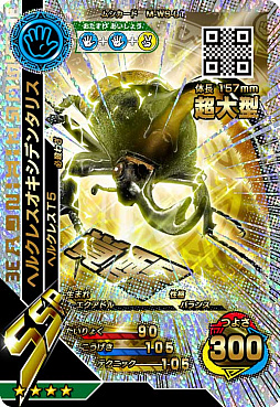 ꡼ No.007 | ֿԥॷ󥰡סȷƮ5ơɤƯϡ33ʾοɤо