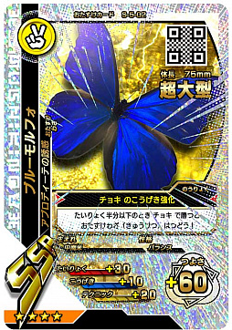 ꡼ No.008 | ֿԥॷ󥰡סȷƮ5ơɤƯϡ33ʾοɤо