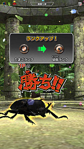 ꡼ No.021 | ֿԥॷ󥰡סȷƮ5ơɤƯϡ33ʾοɤо