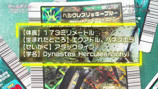 ꡼ No.014Υͥ / ֥ॲΥSeason2ֹԥॷ/  and ٥꡼פ򿶤֤롣2ʤ⤿餷ȤȤʤؤγʡɤȤ