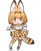 ꡼ No.007 | ֤Υե󥺡פλϿ216˳ϡϿ12Τȴե󥺤鹥ʥ1Τ館