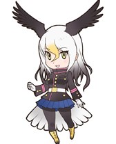 ꡼ No.008 | ֤Υե󥺡פλϿ216˳ϡϿ12Τȴե󥺤鹥ʥ1Τ館