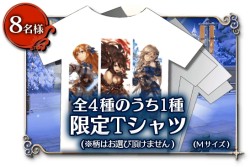 ꡼ No.002 | ָ÷󥯥ץȥ饯ȡץեȷʤɤ35000ͥեեڡ»