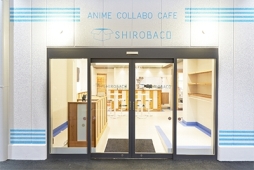 ꡼ No.003 | ָ÷󥯥ץȥ饯ȡפ1000DLˤǰڡ󤬳Ť