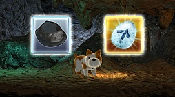 ꡼ No.011 | Ǽμ͸Ƕʤ롪6ͤζϥץ쥤Ǯ֤ߤʤǥڥ󥫡Zפץ쥤ࡼӡǾҲ