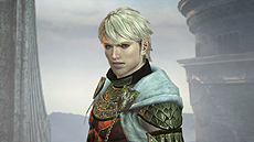 ���������꡼ No.025�Υ���ͥ������ / ��Dragon's Dogma Online�ס���������٤�4��Υ���֤�ե�����ɡ��������줵�������ͥ�����Ѥ���������м���פΥ��С�������