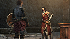 ���������꡼ No.032�Υ���ͥ������ / ��Dragon's Dogma Online�ס���������٤�4��Υ���֤�ե�����ɡ��������줵�������ͥ�����Ѥ���������м���פΥ��С�������