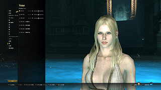 ���������꡼ No.005�Υ���ͥ������ / ��Dragon's Dogma Online�פο����������������θ��򰮤���¤ʽ��ԡ֥ݡ���פȤϤɤΤ褦��¸�ߤʤΤ�