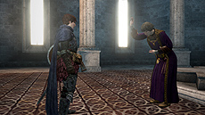 Dragon's Dogma Onlineפοθ򰮤¤ʽԡ֥ݡפȤϤɤΤ褦¸ߤʤΤ