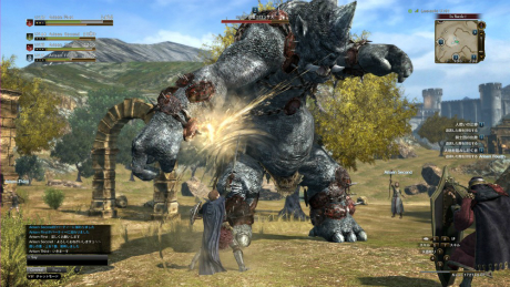 ���������꡼ No.005�Υ���ͥ������ / ��Dragon's Dogma Online�ס���������ǽ��4����Υ���֤��������륹������󤬸���