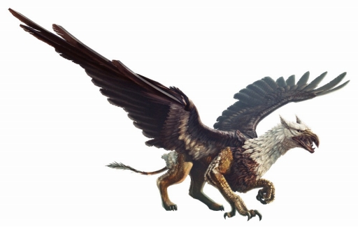 ���������꡼ No.004�Υ���ͥ������ / ��Dragon's Dogma Online��CBT1����Ԥ�18���ͤ�����