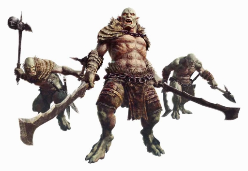 ���������꡼ No.005�Υ���ͥ������ / ��Dragon's Dogma Online��CBT1����Ԥ�18���ͤ�����