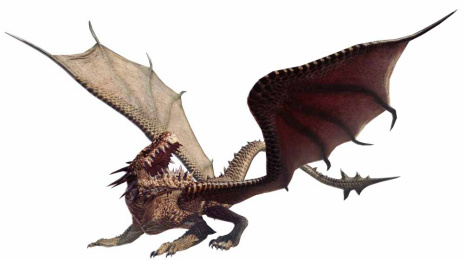 ���������꡼ No.002�Υ���ͥ������ / ��Dragon's Dogma Online�ס���Ǯ�Υ֥쥹�����Ĳ�ε�֥ɥ쥤���פΥӥ��奢��俷���ʥ����ɥߥå��������Ťζ��ԡפξܺ٤�����