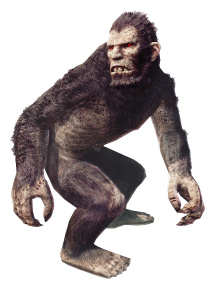 ���������꡼ No.003�Υ���ͥ������ / ��Dragon's Dogma Online��CBT1������Υܥ����饹��󥹥����и��������塼����ǿ��ࡼ�ӡ�3�ܤ�����