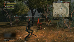 ꡼ No.003 | 饤Ǥȥɥ饴󥺥ɥޡɤ餷ϷߡDragon's Dogma OnlineCBT1Υץ쥤ࡼӡǺ