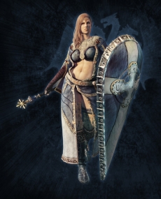 ���������꡼ No.012�Υ���ͥ������ / ��Dragon's Dogma Online�פ����������ӥ��������������ȡ��������ѥ��ݡ��ȡפ�3����̵���Ǥ���ץ쥤�Ǥ��륭���ڡ����