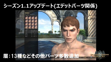 ���������꡼ No.005�Υ���ͥ������ / ��Dragon's Dogma Online��ȱ�������ʤɥ��ǥ��åȥѡ��Ĥ��������̡����åץǡ��ȡ֥�������1.1�פǤ��ݴɥܥå������ĥ