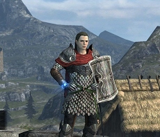 ���������꡼ No.005�Υ���ͥ������ / ��Dragon's Dogma Online�ץ�������1.1�������������ȡ�������ɤ䥷��С������åȤ���館�륭���ڡ����