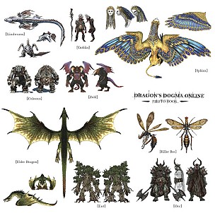 ���������꡼ No.005�Υ���ͥ������ / ��Dragon��s Dogma Online�פΥ��ꥸ�ʥ륵����ɥȥ�å�CD������ȯ��