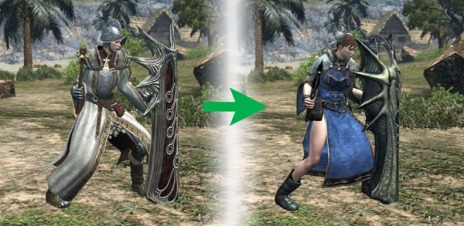 ���������꡼ No.033�Υ���ͥ������ / ��Dragon's Dogma Online���緿���åץǡ��ȡ֥�������1.2�פ������ˡ��ȥ쥸�㡼�����åȡֱߴĤ�ε̮�פ�����⥹������