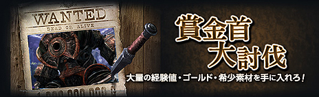 ꡼ No.008Υͥ / Dragon's Dogma Onlineס1.2Υɥޥåפȥɥߥåּ줿פۿ塼뤬