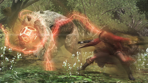 ꡼ No.006 | Dragon's Dogma Onlineפ緿åץǡȡ֥1.3׼»ܡ֥֡륱ߥȡפ٥ƥĤƤȯؤʹ