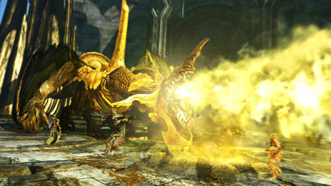 ꡼ No.014Υͥ / Dragon's Dogma OnlineפΥ1.3Ǽ֥ȥ꡼ߥåפ̤ʥॹ롤Υ󥹥֥르פ