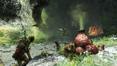 ꡼ No.006Υͥ / Dragon's Dogma Onlineס630Υ2åץǡ³Ȥʤ뿷ꥢ俷󥹥ξܺ٤